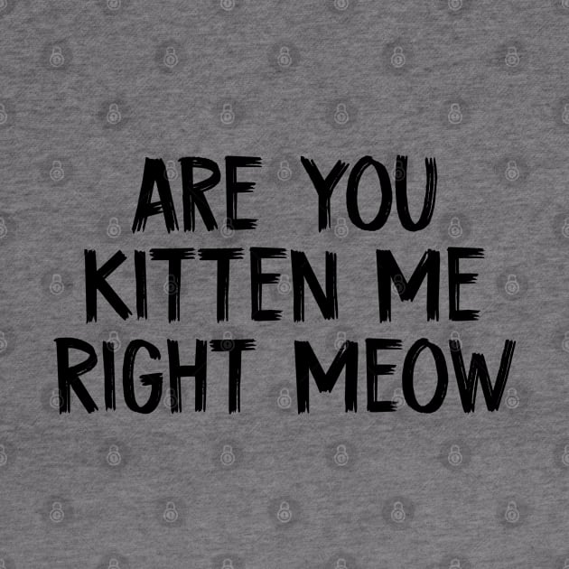 Are You Kitten Me Right Meow by TIHONA